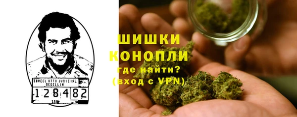 гидра Абаза