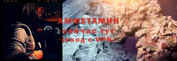 метадон Алексин