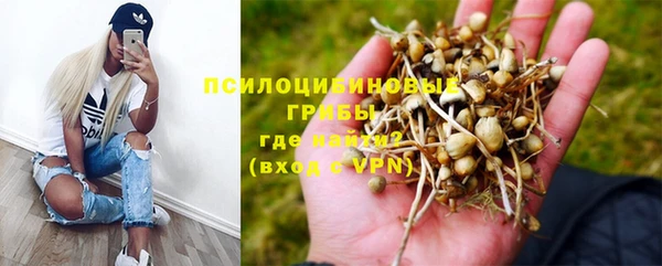а пвп мука Алексеевка