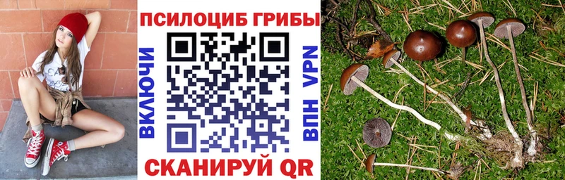 Псилоцибиновые грибы мицелий  дарк нет телеграм  Мантурово 